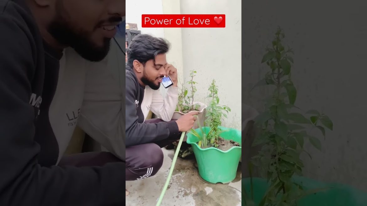 Wait for End | Power of Love | Trending comedy | Ranjha | trending song video | comedy | TikTok
