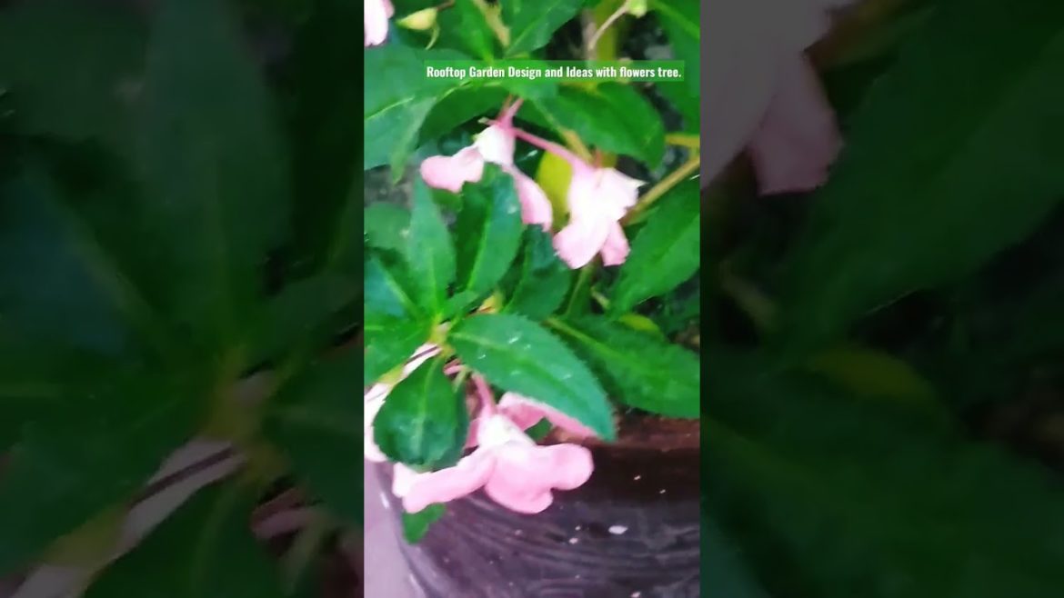 Rooftop Garden Design and Ideas with flowers tree. #shorts Rooftop Garden Design and Ideas with flowers tree. #shorts