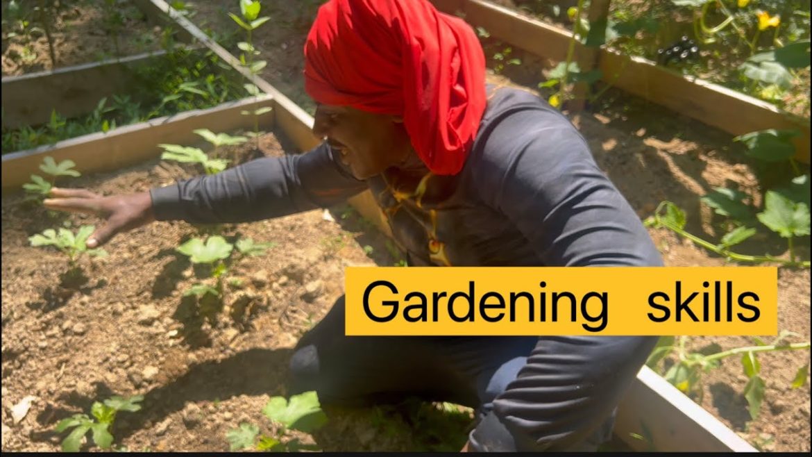 Gardening skills and Techniques￼ . Welcome to the Big league