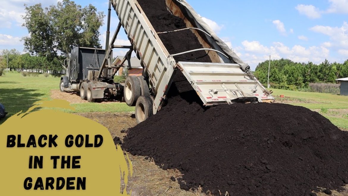 Using Rich Compost to Improve Our Backyard Garden! Using Rich Compost to Improve Our Backyard Garden!