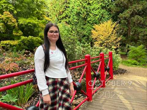 Japanese maple gardening, a great day out seeing fall colours of various mature trees! Japanese maple gardening, a great day out seeing fall colours of various mature trees!