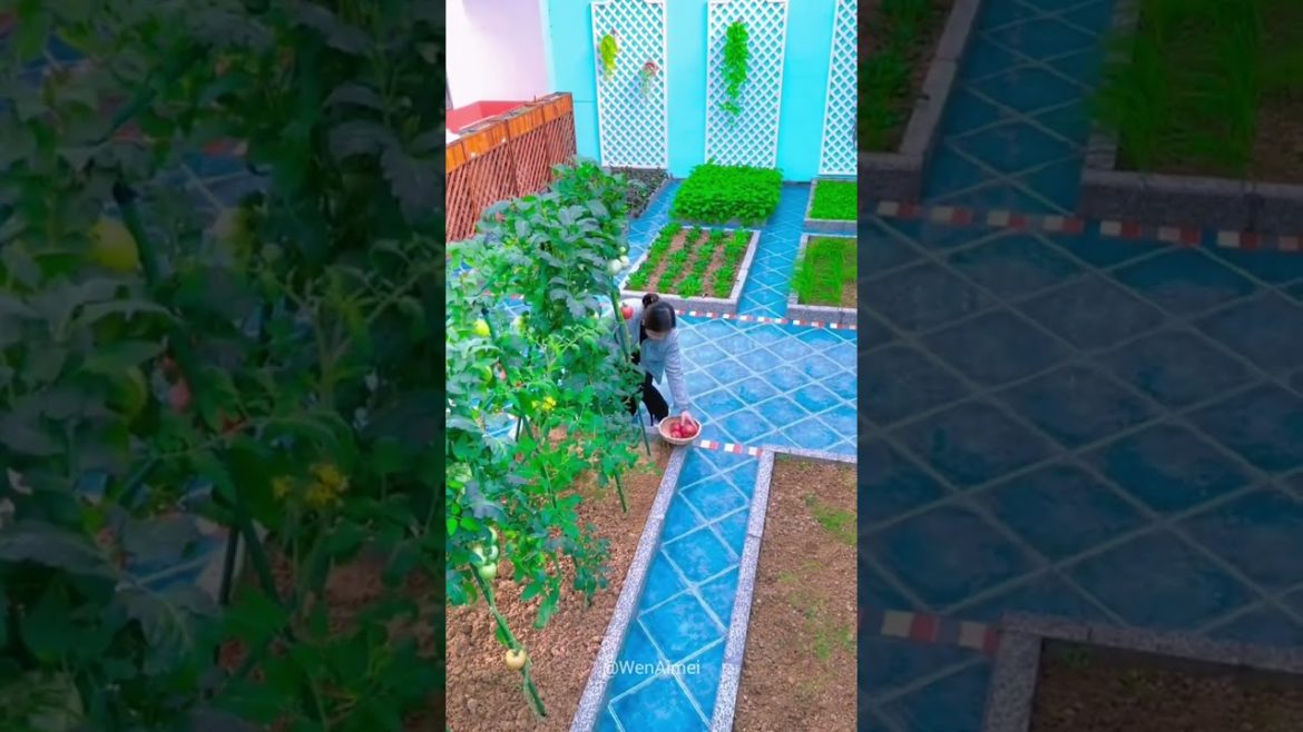 Beautiful Nature with Rural Life #shorts #naturalife #rurallife