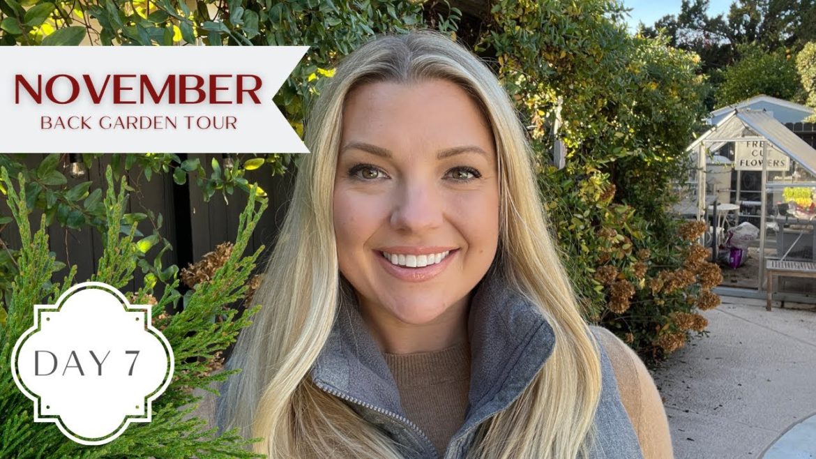 Holidays in the Garden Day 7!:: November Back Garden Tour!