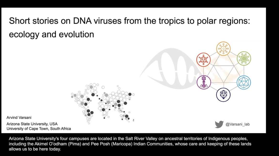 VEGA 2022 Keynote: Arvind Varsani VEGA 2022 Keynote: Arvind Varsani