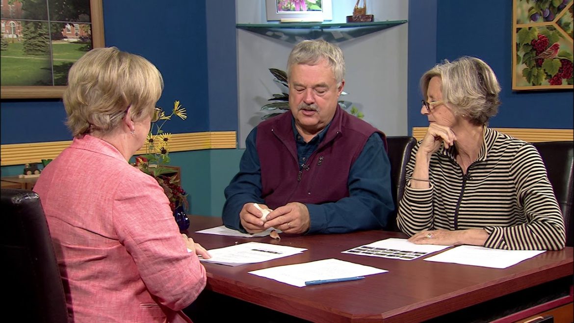 10/6/17 Seasonal Garden Tips