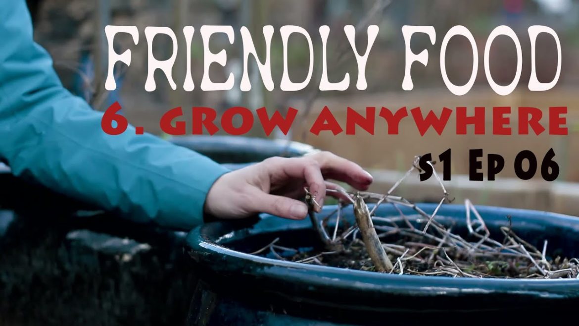 Friendly Food I S1 EP6