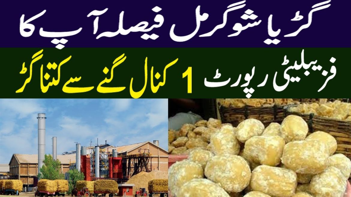 Gurr Making | Jaggery Making from Sugar Cane | Feasibility Report Gurr Making || Gurr Making | Jaggery Making from Sugar Cane | Feasibility Report Gurr Making ||