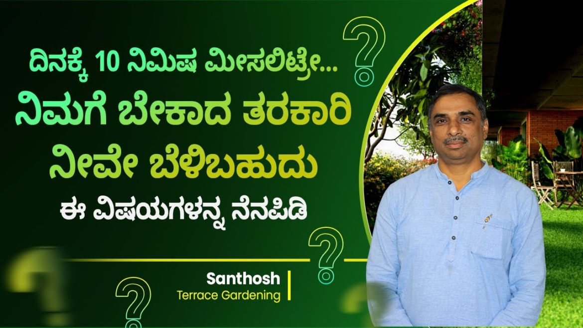 How To Harvesting Organic Vegetables in Terrace Garden? | Profitable Terrace Gardening? Santhosh How To Harvesting Organic Vegetables in Terrace Garden? | Profitable Terrace Gardening? Santhosh