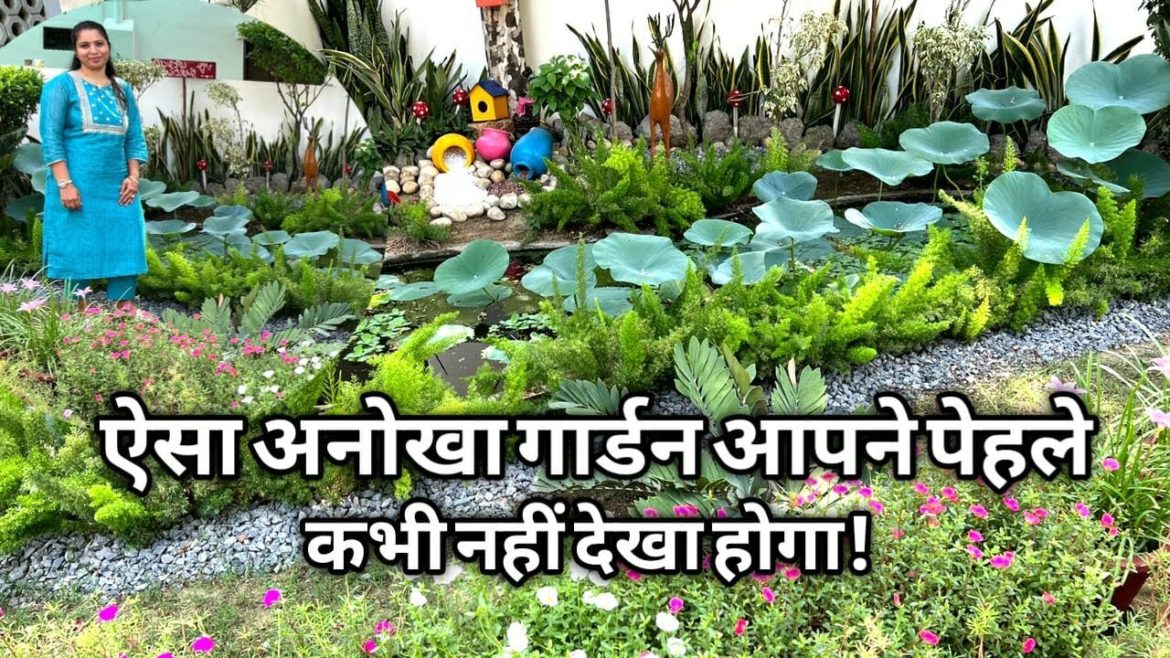ऐसा अनोखा गार्डन आपने पेहले कभी नहीं देखा होगा! AMAZING DIYs FOR YOUR GARDEN || Helpful Plant Tips ऐसा अनोखा गार्डन आपने पेहले कभी नहीं देखा होगा! AMAZING DIYs FOR YOUR GARDEN || Helpful Plant Tips