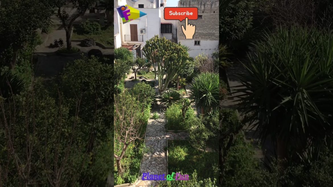 Italian style backyard garden, باغچه استایل ایتالیایی Italian style backyard garden, باغچه استایل ایتالیایی