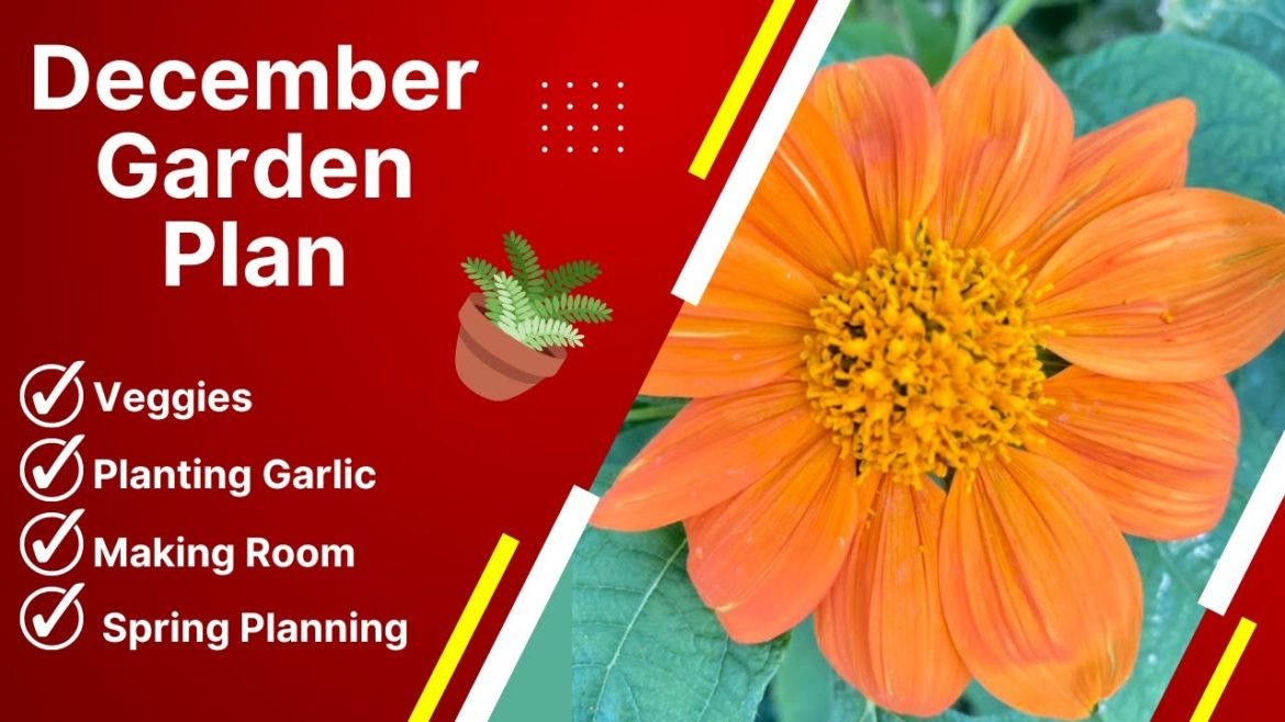 DECEMBER GARDEN PLAN REVEALED - Get Your FREE Copy Today!