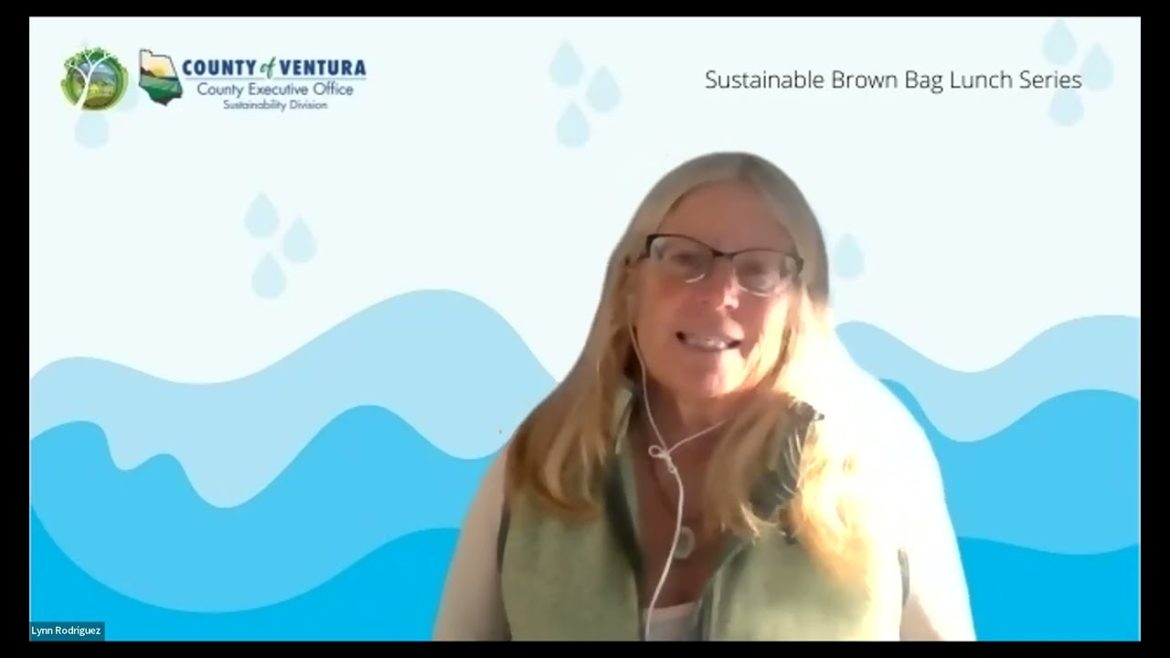 Sustainability Brown Bag Lunch Series - Learn to Reduce Your Water Consumption