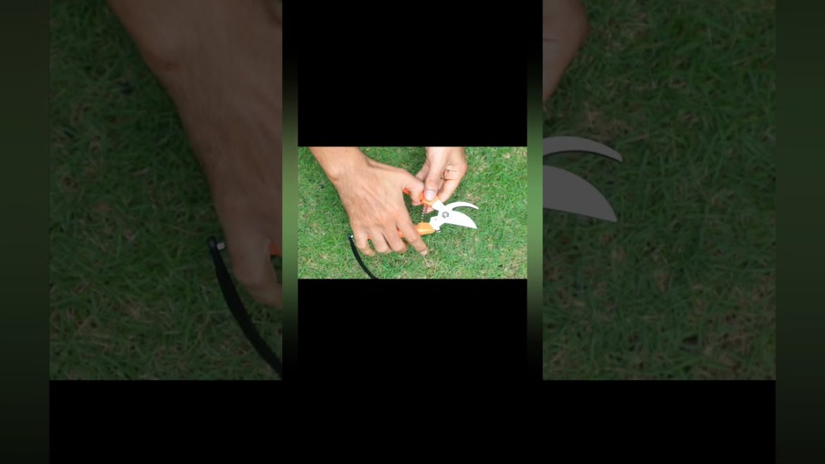 Under ₹ 150/- Garden Hand Pruner , Grass Shears Gardening Cut Tool , tech gadgets, amazon products.