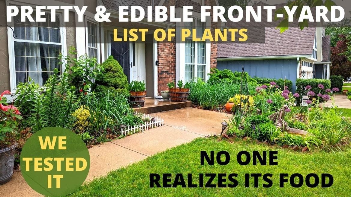 5 plants for EDIBLE landscape in front yard with examples to incorporate them among flowers 5 plants for EDIBLE landscape in front yard with examples to incorporate them among flowers