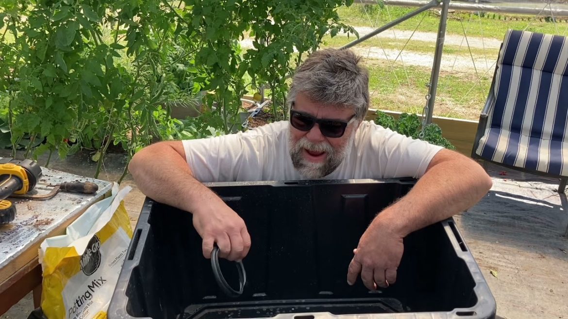 How to make a wicking tub and why you want to use them too. Container Gardening!