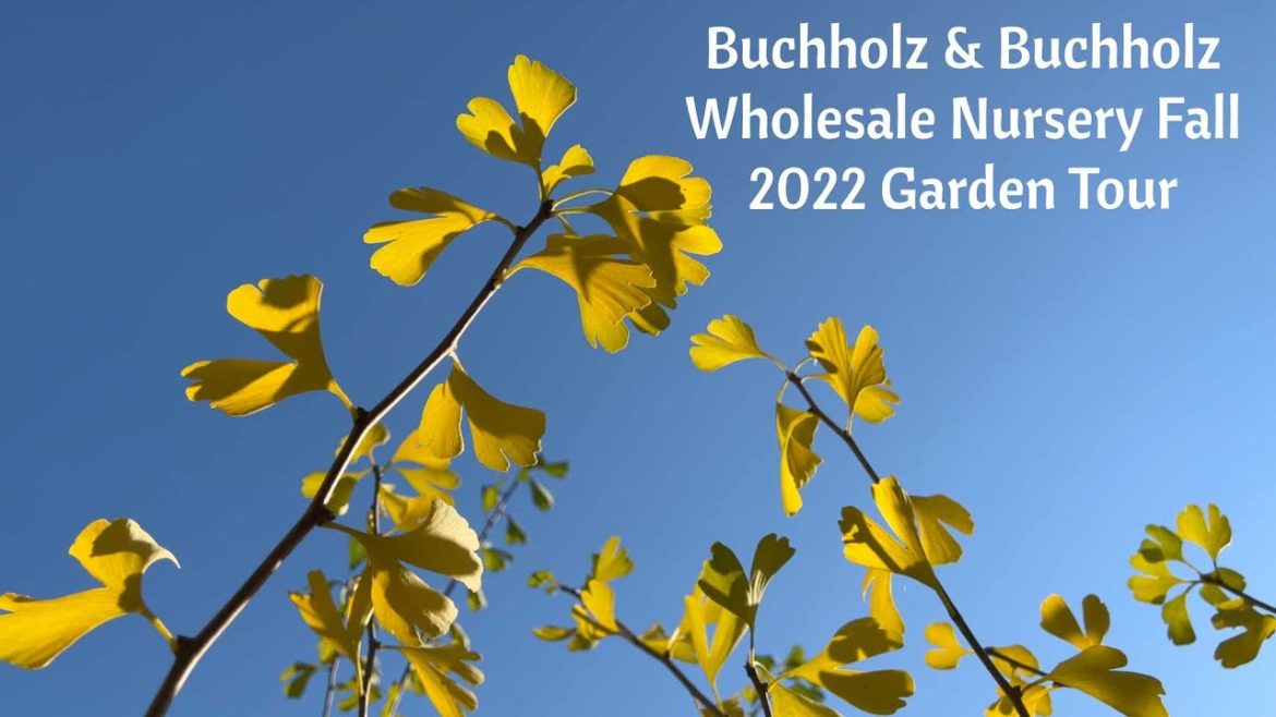 Fall 2022 Garden Tour at Buchholz & Buchholz Wholesale Nursery