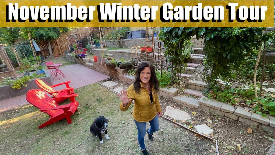 November Garden Tour - Winter Garden is Finally Taking Off!🍅☃️