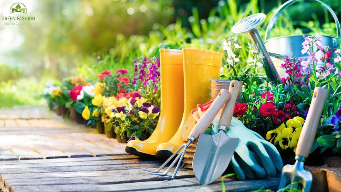 60 Useful inventions and ideas for a suburban area. Inspiring garden ideas.