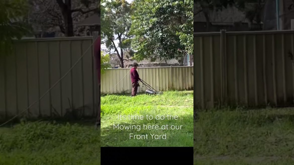 Mowing at Our Front Yard #rosebudsavona #shorts #garden