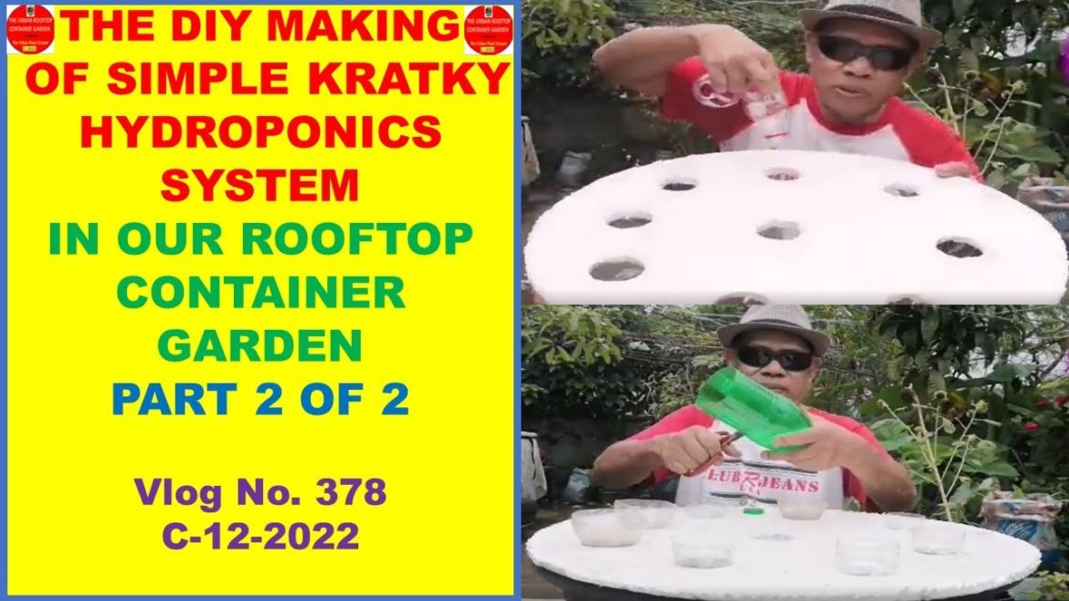 The DIY Making of Simple Kratky Hydroponics System In Our Rooftop Container Garden-Part 2 of 2 The DIY Making of Simple Kratky Hydroponics System In Our Rooftop Container Garden-Part 2 of 2