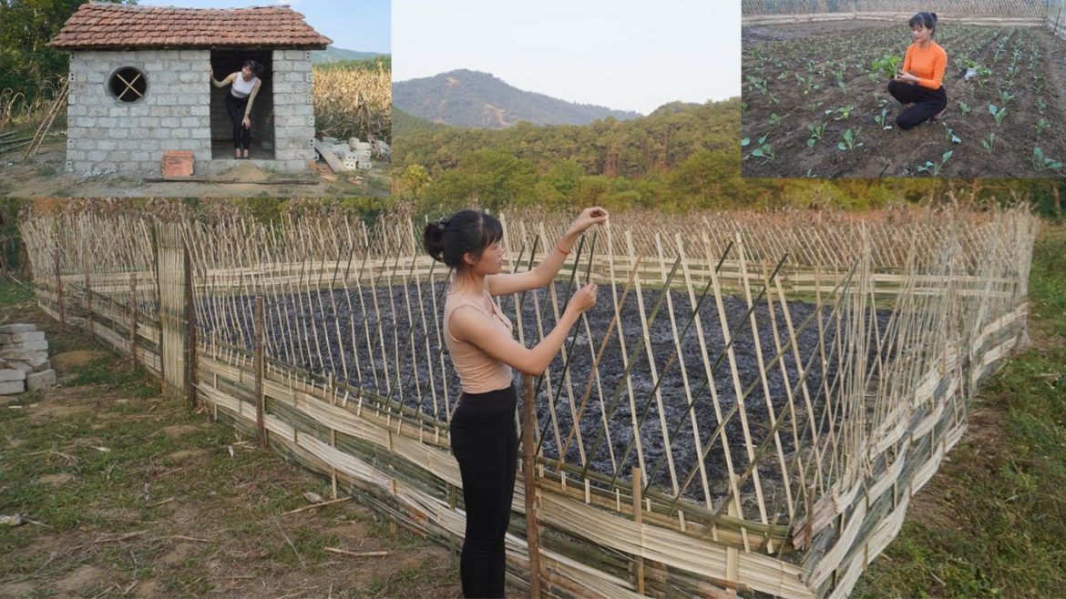 Complete Woven Bamboo Fence, Grow Vegetable Garden, Planting Vegetable Seeds, Free Farm Forest Life