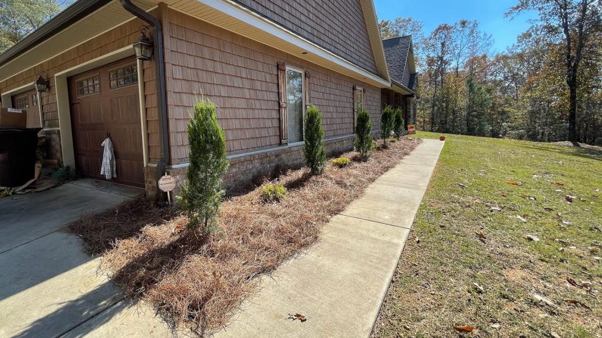 Full landscape install EXPLAINED! | Landscaping 101!