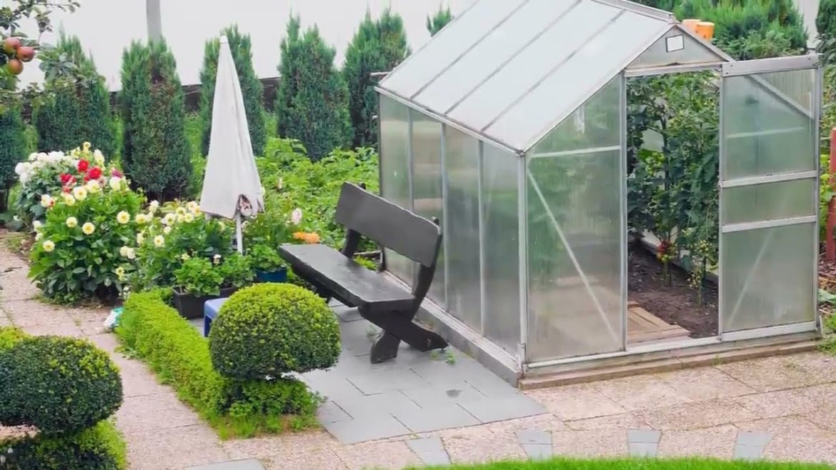 A selection of beautiful, useful ideas for garden plot design, flower beds and kailyard decoration