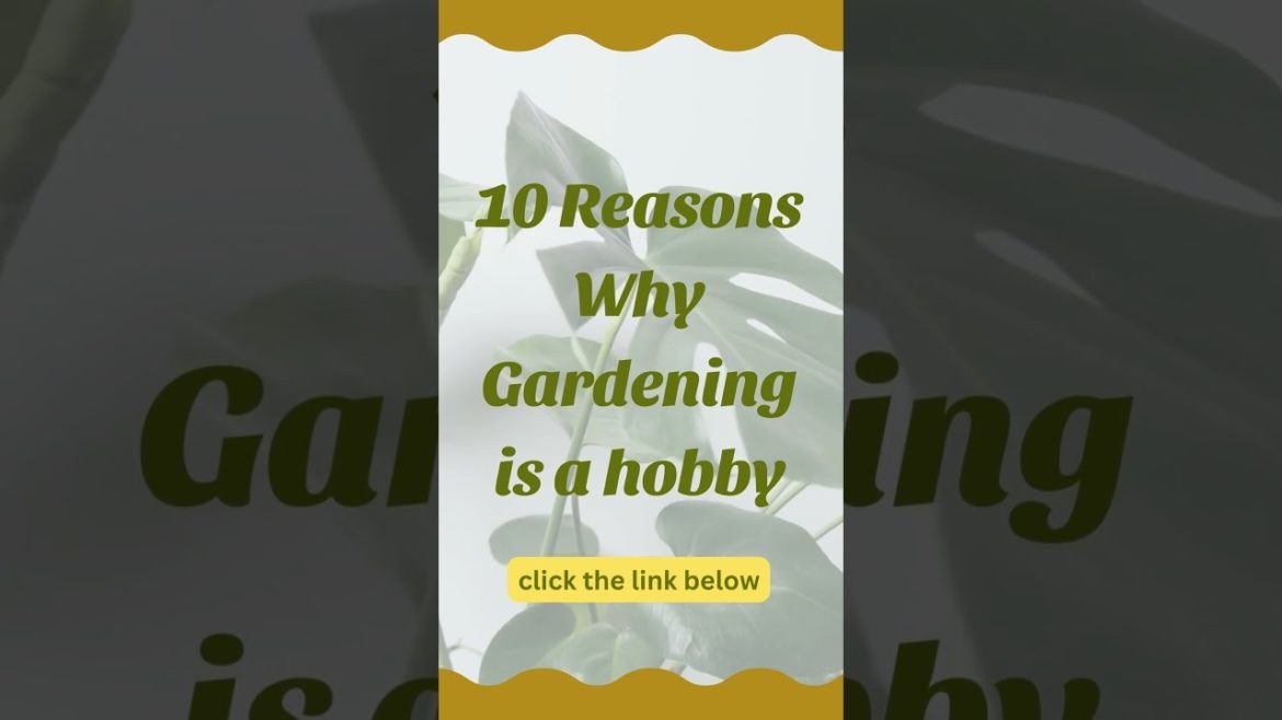 10 Reasons Why Gardening is a hobby 10 Reasons Why Gardening is a hobby