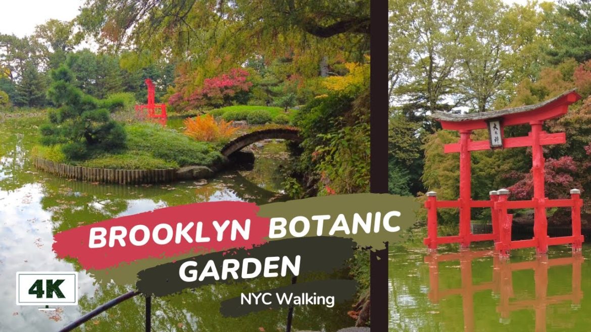 4K NYC Walking – Brooklyn Botanic Garden – The Japanese Garden And More 4K NYC Walking - Brooklyn Botanic Garden - The Japanese Garden And More
