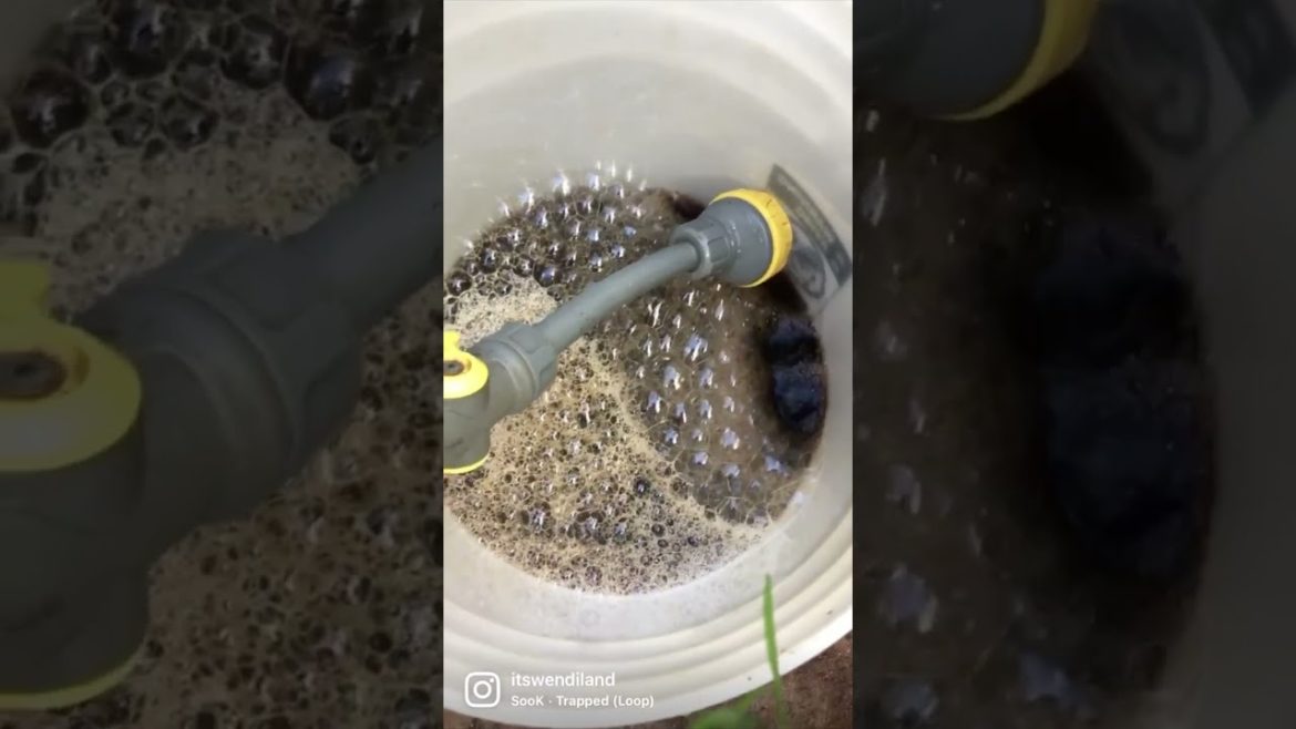 Worm POOP tea make my plants DANCE! Worm POOP tea make my plants DANCE!