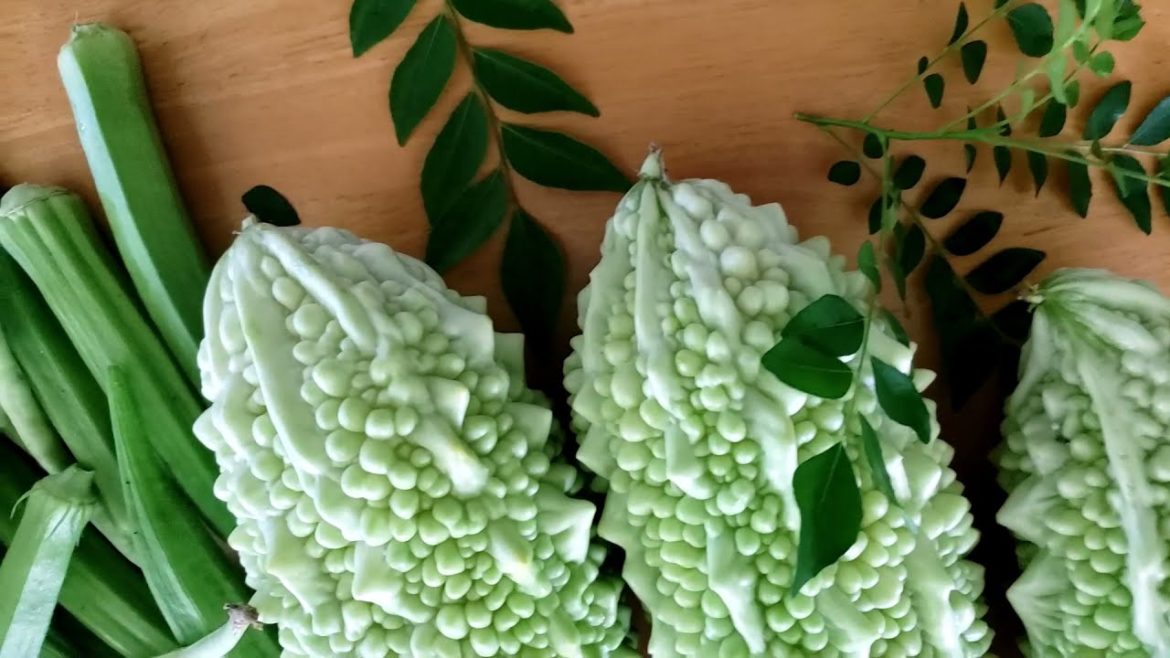 Organic Backyard Garden-beans, okra, Bitter Gourd,  bitter melon, Momordica charantia, Balsam Pear