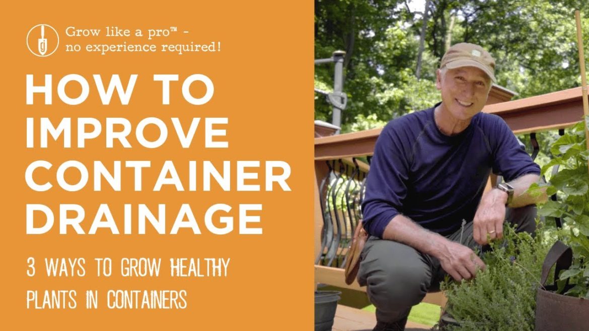 3 Ways to Improve Container Drainage 3 Ways to Improve Container Drainage