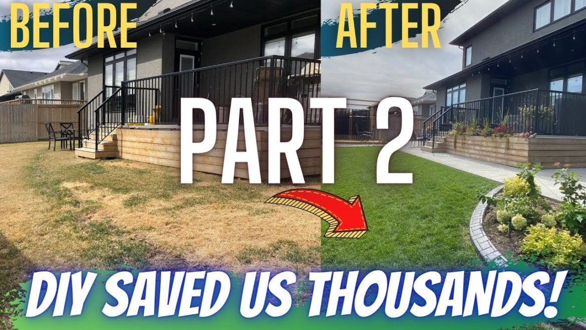 Part 2 - Backyard Landscaping Transformation Makeover DIY