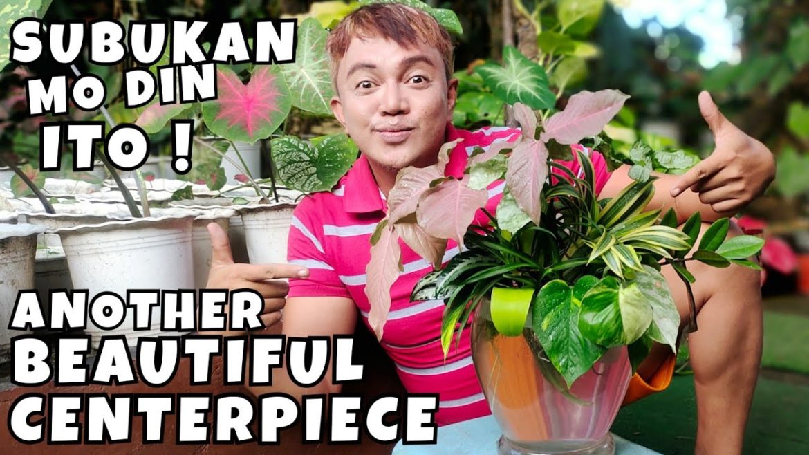 CENTERPIECE ARRANGEMENT IDEAS FOR WATER HOUSEPLANTS | MIXED INDOOR PLANTS CENTERPIECE ARRANGEMENT IDEAS FOR WATER HOUSEPLANTS | MIXED INDOOR PLANTS