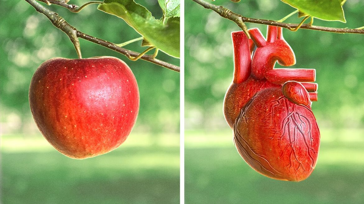 Genius Plant Hacks And Gardening Tips You Shouldn't Miss