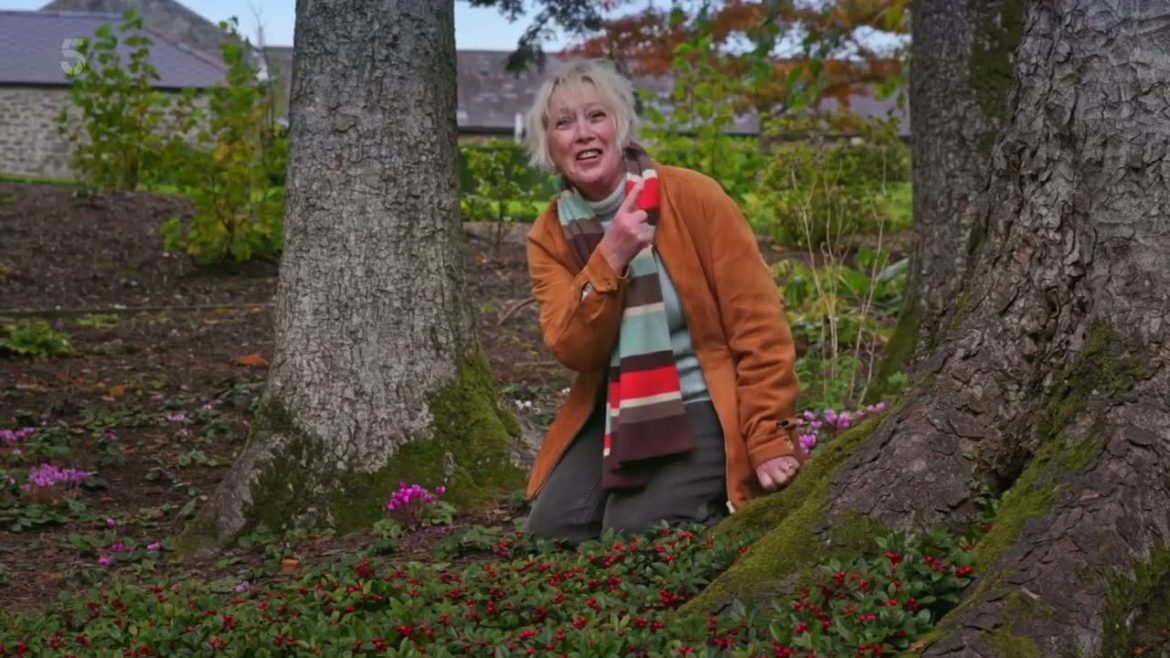 Great British Gardens with Carol Klein🍀Series 3 Episode 1