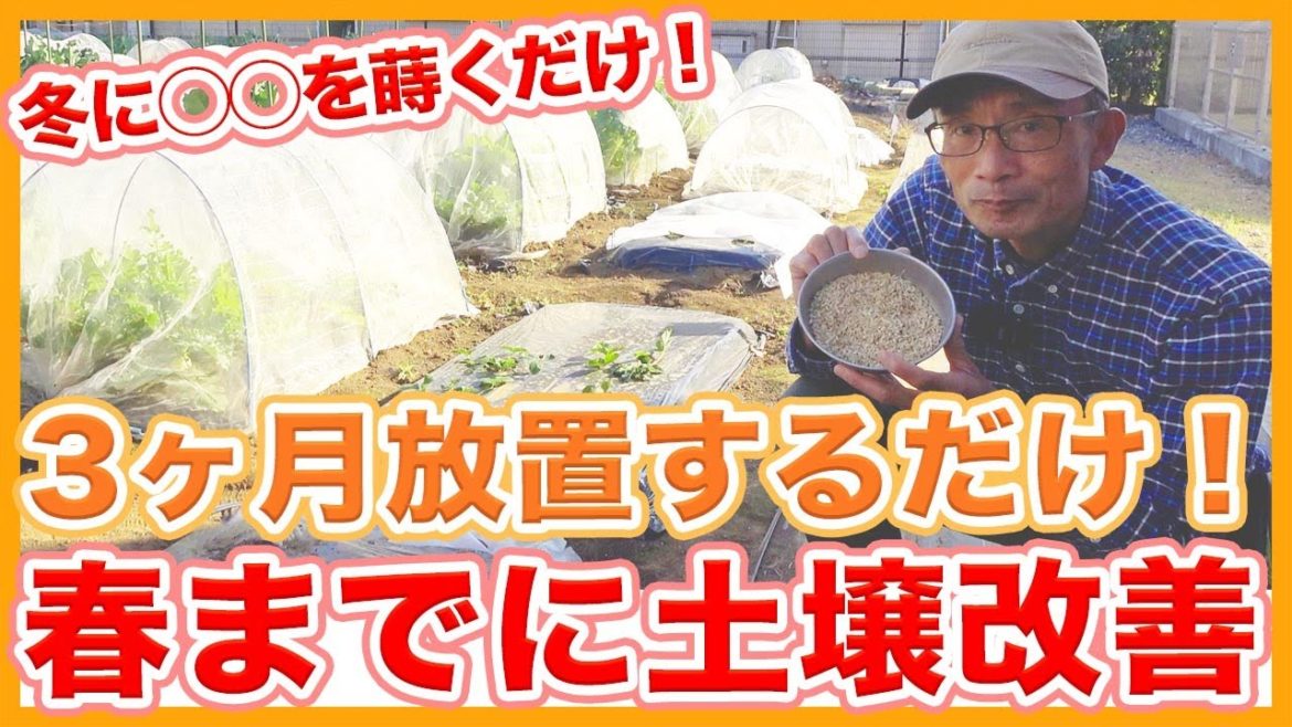 家庭菜園や農園栽培の土作りは米ぬかと籾殻を3ヶ月放置するだけ!?春までに土壌改善する方法を徹底解説!【農家直伝】/Soil improvement tips from Japanese farmers 家庭菜園や農園栽培の土作りは米ぬかと籾殻を3ヶ月放置するだけ!?春までに土壌改善する方法を徹底解説!【農家直伝】/Soil improvement tips from Japanese farmers