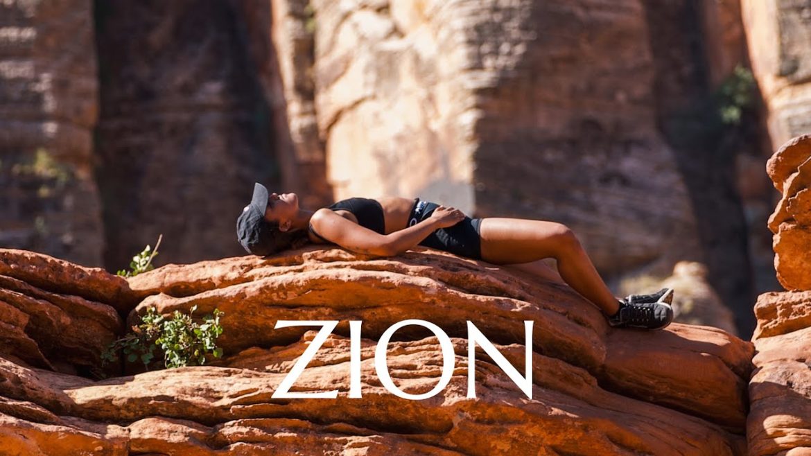 Last American Trip Last American Trip