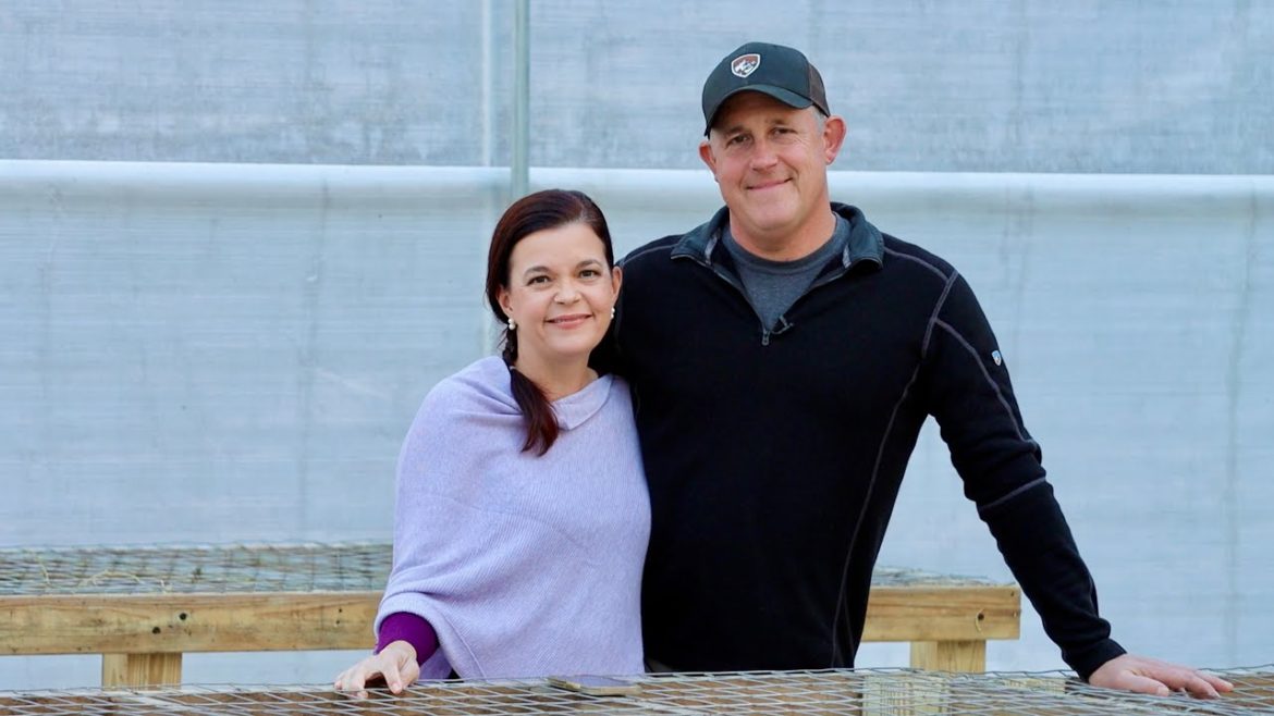 November Greenhouse Chat | Gardening with Creekside