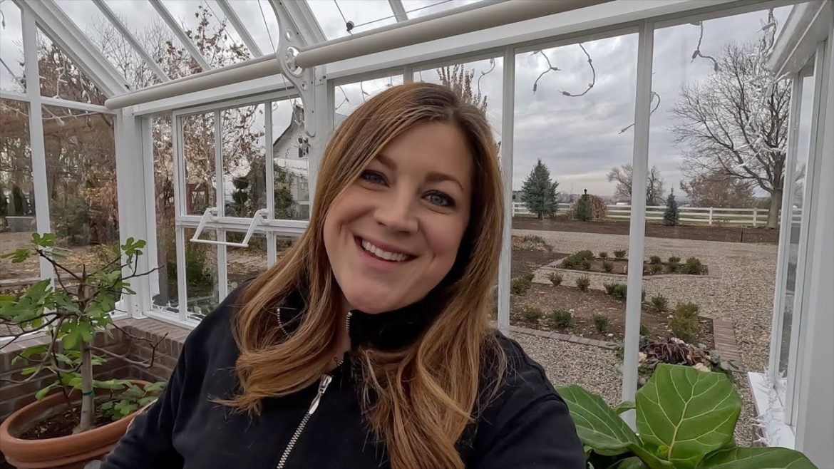 Lawn/Tomato Update, Planting Crocus & Gardener’s Supply Unboxing! 🍅🌾📦 // Garden Answer Lawn/Tomato Update, Planting Crocus & Gardener’s Supply Unboxing! 🍅🌾📦 // Garden Answer