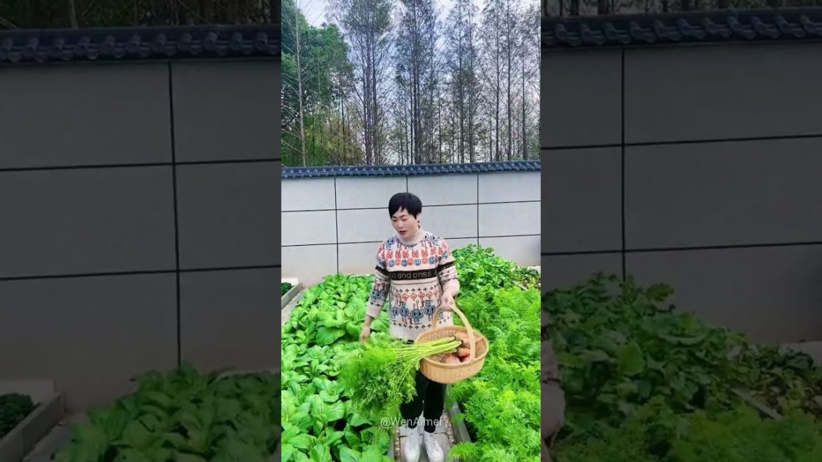 Beautiful Nature with Rural Life #shorts #naturalife #rurallife