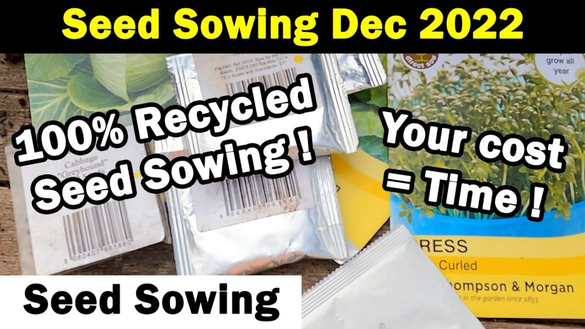 Seeds to Sow in December | Seed Sowing in December 2022 | Vegetable Seed Sowing | Green Side Up