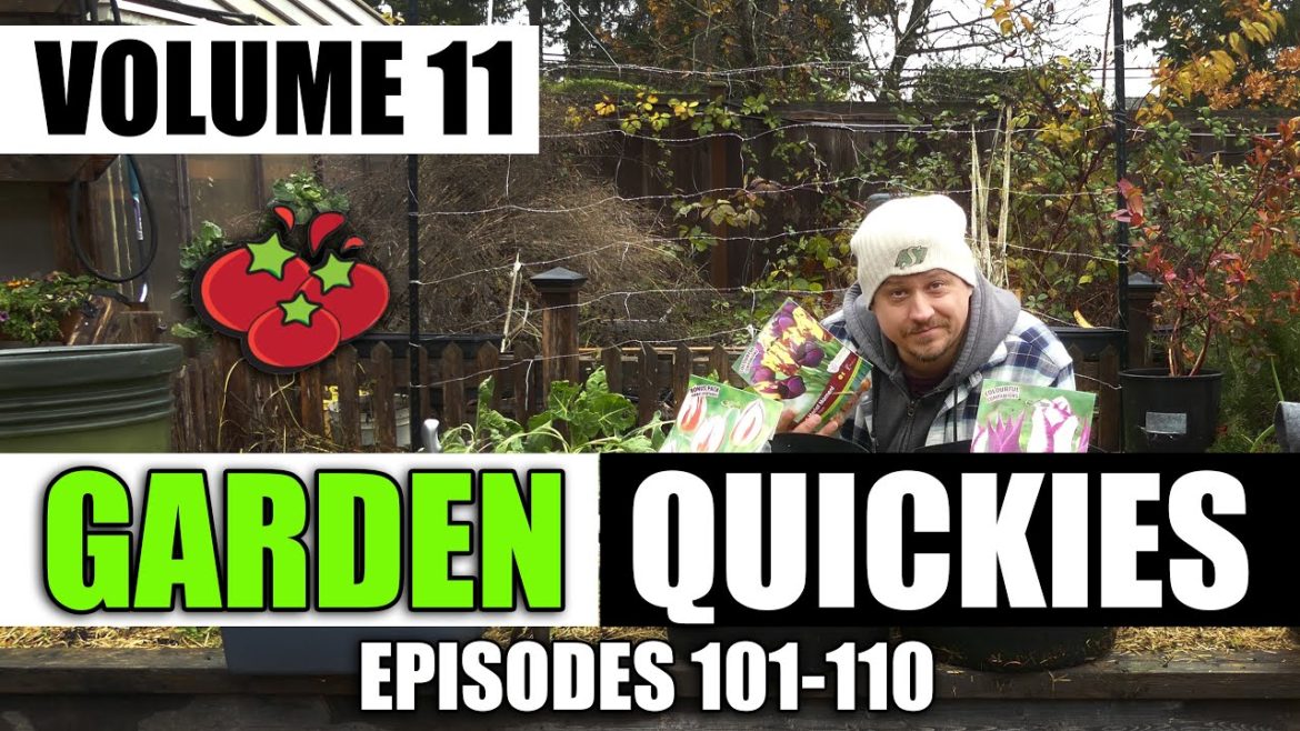 Garden Quickies Volume 11 - Episodes 101 to 110