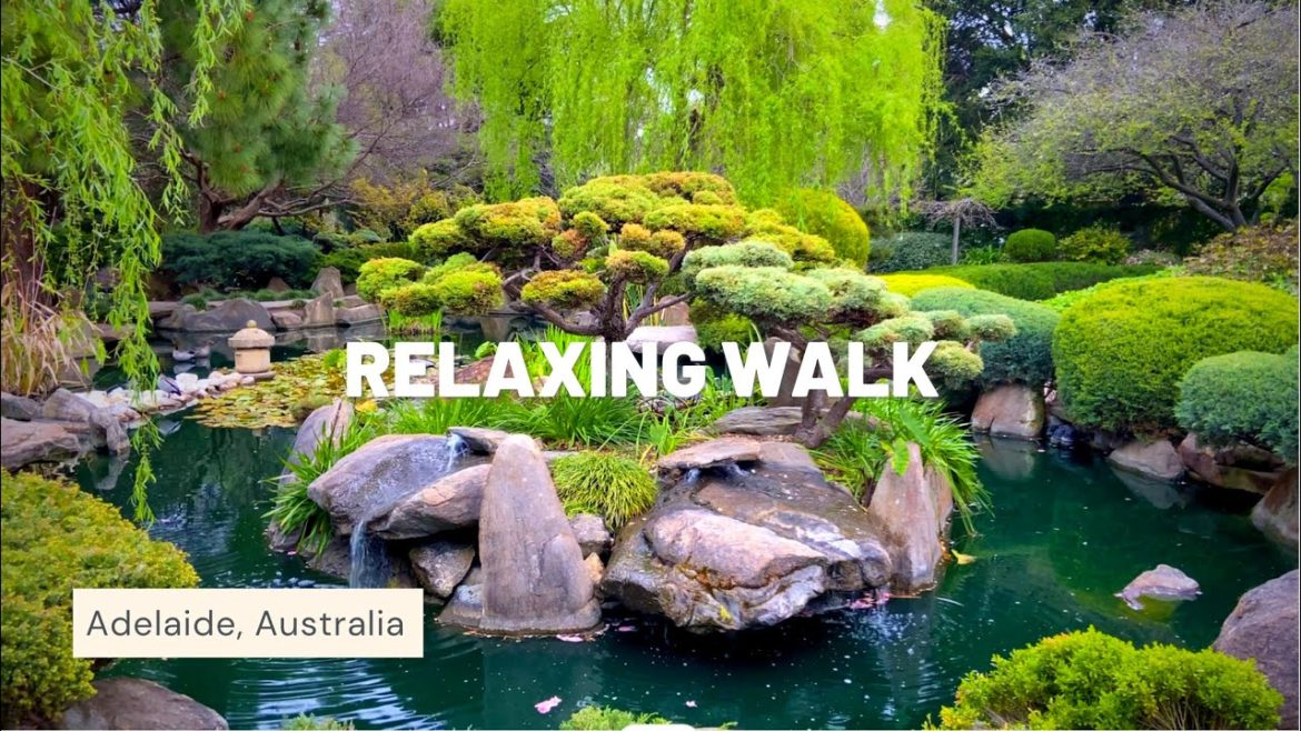 A relaxing evening at a beautiful JAPANESE GARDEN | Adelaide Himeji Garden