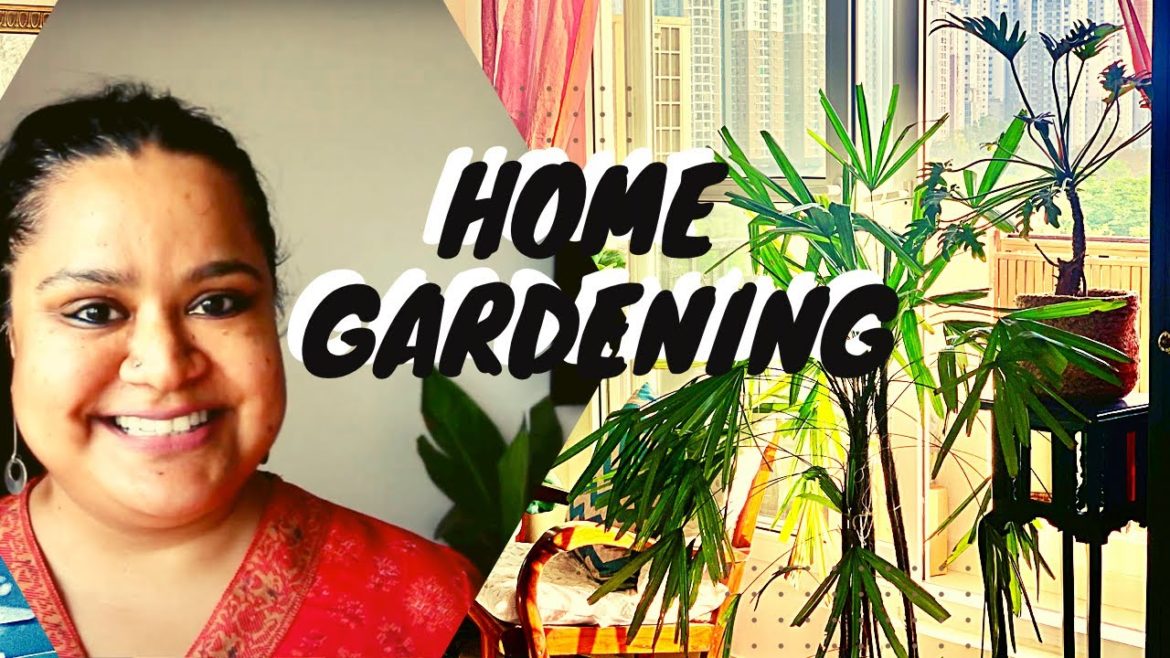 7 CITY HOME GARDENING TIPS for Beginners |Urban Garden |Talking Head Listicle | English video Plants 7 CITY HOME GARDENING TIPS for Beginners |Urban Garden |Talking Head Listicle | English video Plants