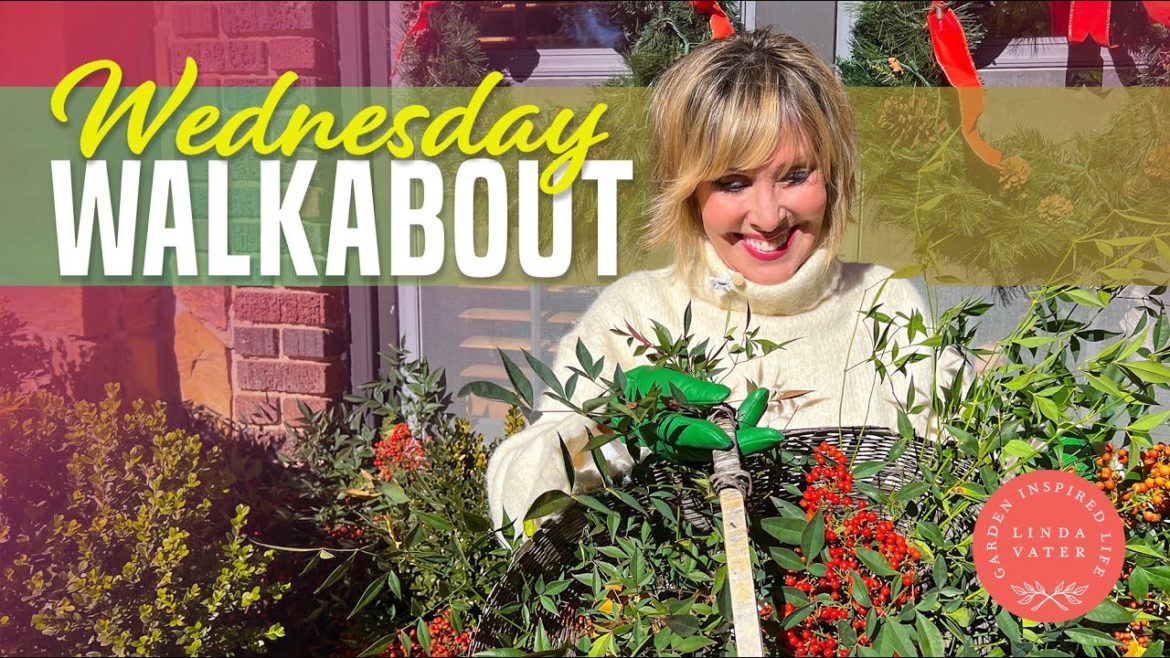 Enjoying The Crisp and Pretty Weather Enjoying The Crisp and Pretty Weather