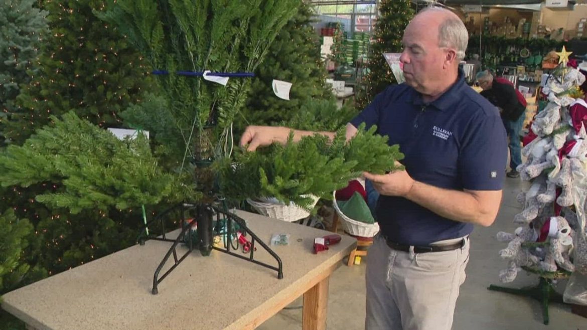 Pat Sullivan: How to set up your Christmas tree