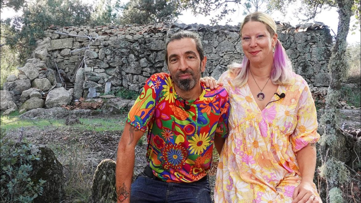 What's Happened? DECLINED Portuguese visa UPDATE! What's Happened? DECLINED Portuguese visa UPDATE!