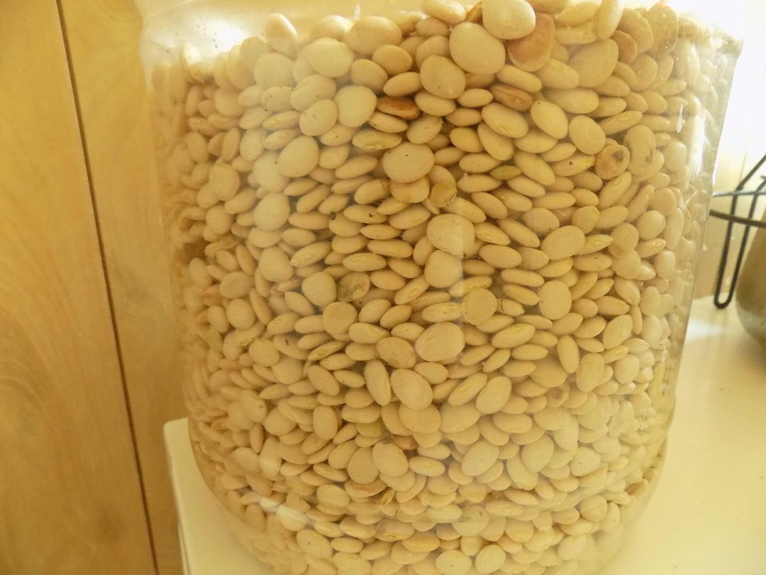 dry beans All For Gardening