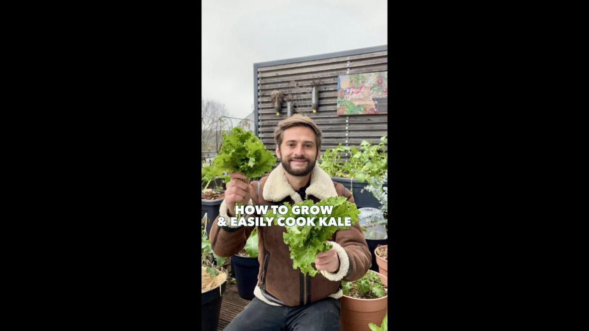 Grow your on food - Growing & cooking Kale